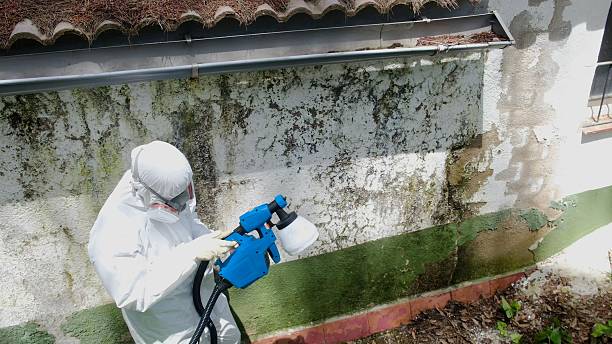 Top rated local Crawl Space Mold Remediation specialists in Gwynedd, PA